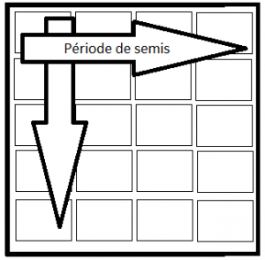 semencier-schema