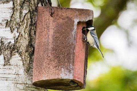 Mangeoire perchoir pour oiseaux - Petits Compagnons