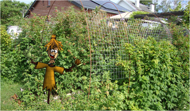 UTILISER LE FER À BÉTON AU JARDIN 